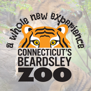 beardsley zoo s
